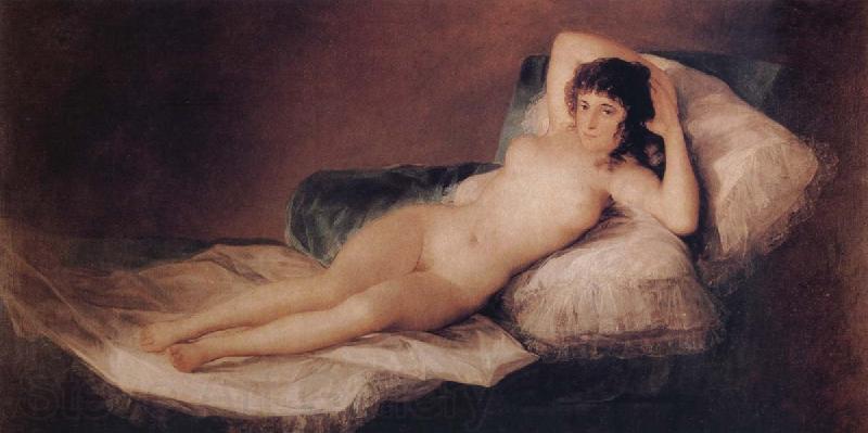 Francisco Jose de Goya The Naked Maja Norge oil painting art